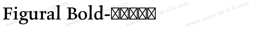 Figural Bold字体转换